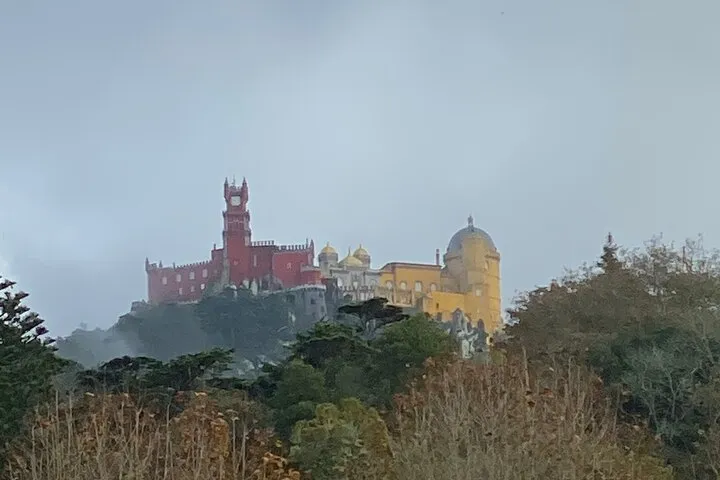 A local’s day from the port, Pena terraces in, photo 1