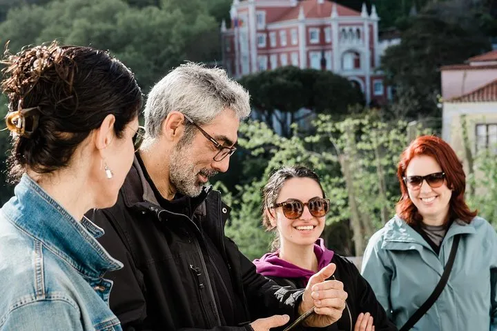 Half-day tour to Sintra and Pena palace from Lisbon