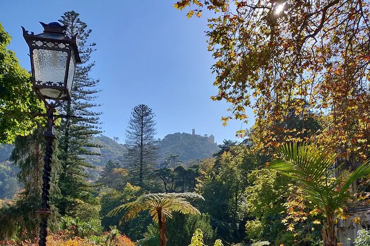Sintra Half Day with Pena Palace and Regaleira from Lisbon, photo 11