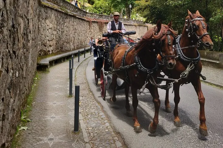 Sintra Half Day with Pena Palace and Regaleira from Lisbon, photo 15