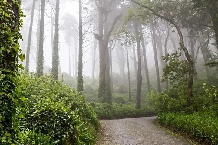 Private Tour Sintra, Palaces and Mountain Tuk Tuk(2 to 6 people), photo 15