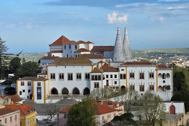 Half-Day Sintra: Pena Palace & Regaleira Small-Group Tour, photo 18