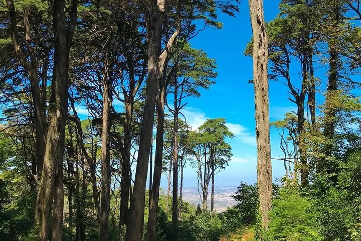 Sintra Private Tour with Tickets: Pena Palace & Moorish Castle, photo 20
