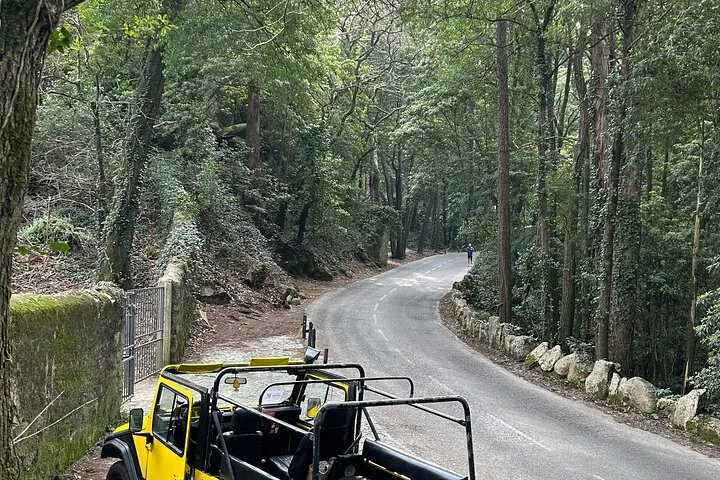 Private Tour Sintra, Pena Palace and Cascais from Lisbon, photo 21