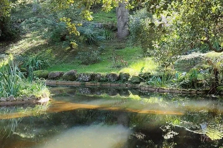 Sintra Private Trip from Lisbon Customizable Dreamlike Experience, photo 23