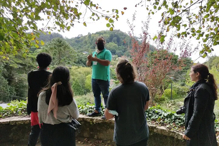 Private Tour to Sintra from Lisbon - Palaces, Gardens & Coast, photo 25