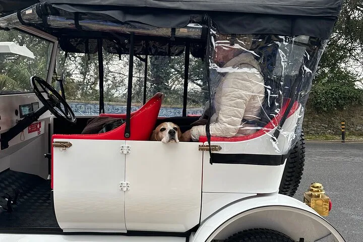 Sintra Tour by Electric Tuk Tuk, photo 27