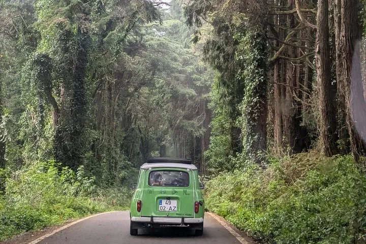 Private Sintra Tour Palaces and Coast by Vintage Car or Jeep, photo 30