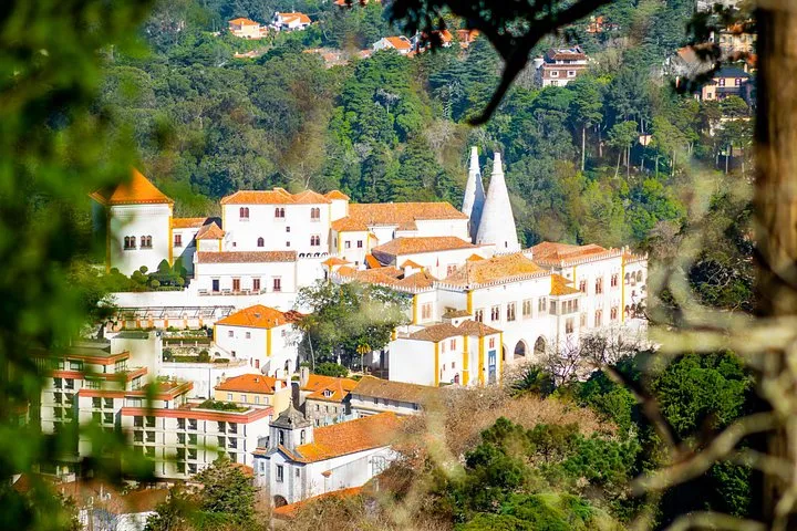 Sintra Full Day Private Tour: Including Pena Palace + Regaleira, photo 33