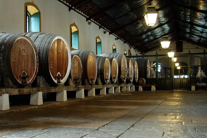 Winery of Colares