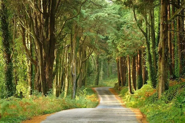 Private Tour to Sintra from Lisbon - Palaces, Gardens & Coast, photo 36