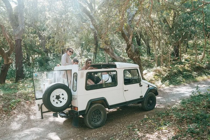 Sintra Jeep Safari, photo 6