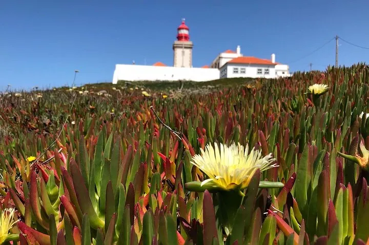 Full Day Tour: Sintra, Pena Palace, Cabo da Roca, Cascais, photo 9