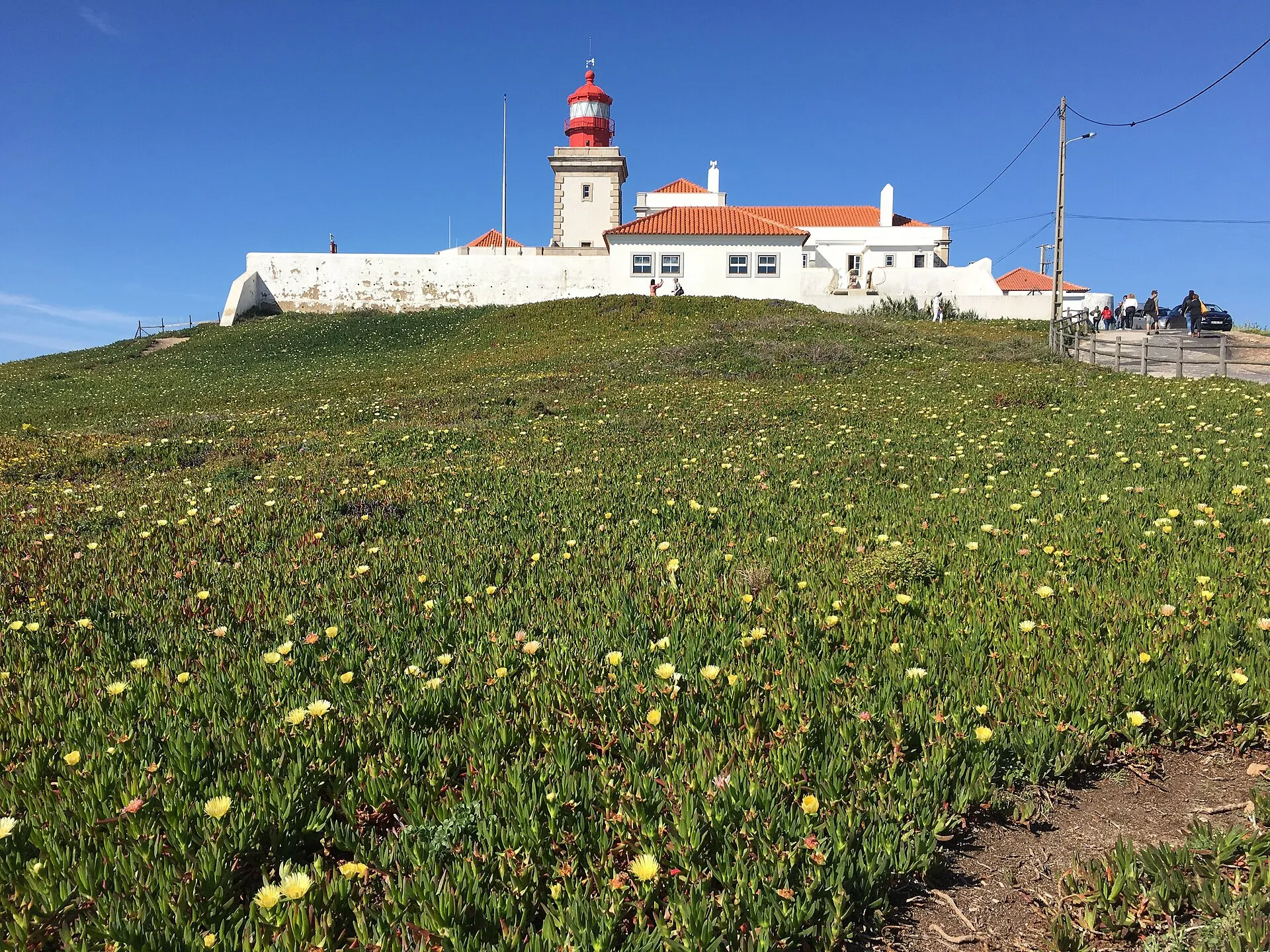 The Cabo da Roca lighthouse above the ice plant in flower