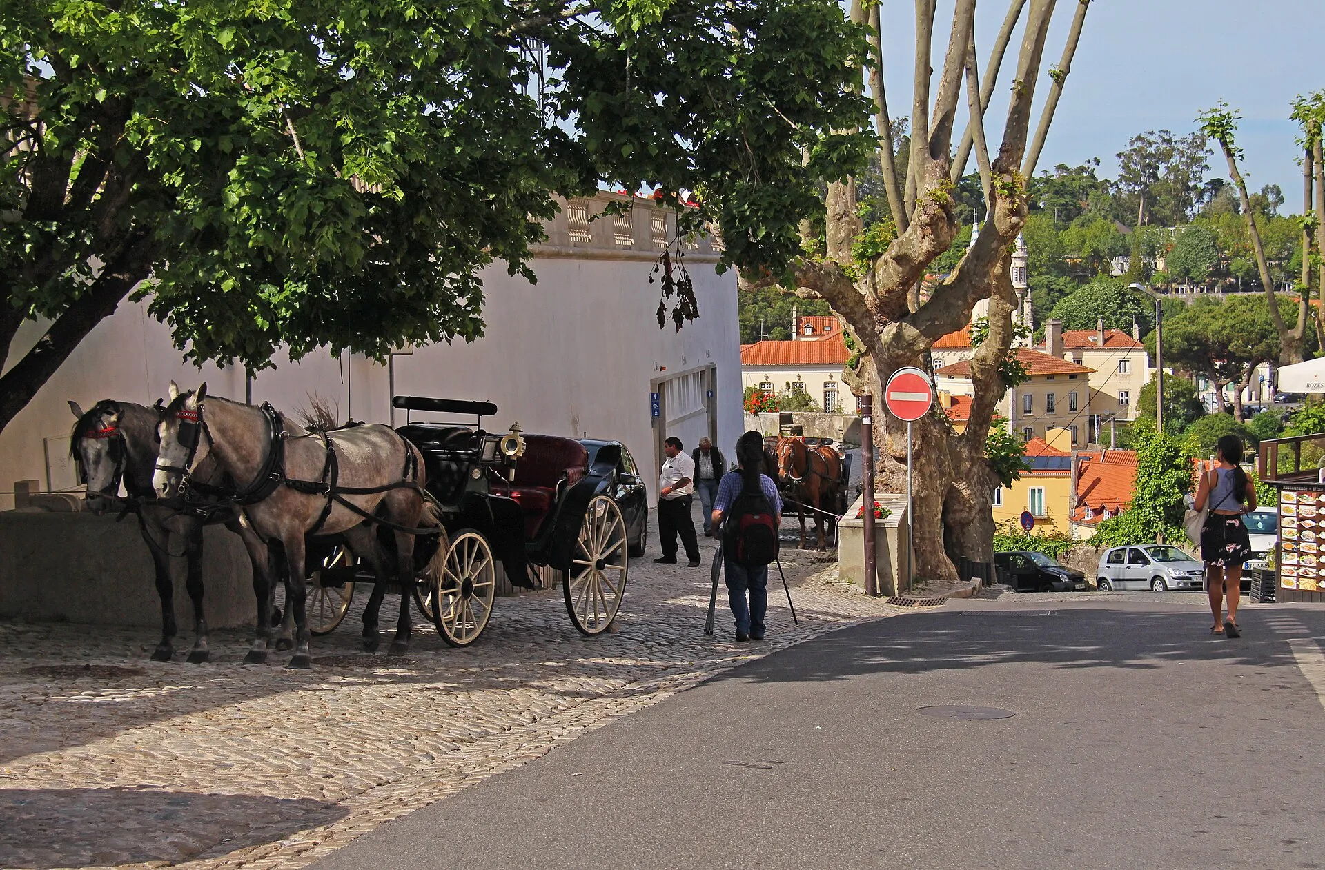 The National Palace of Sintra above the old town